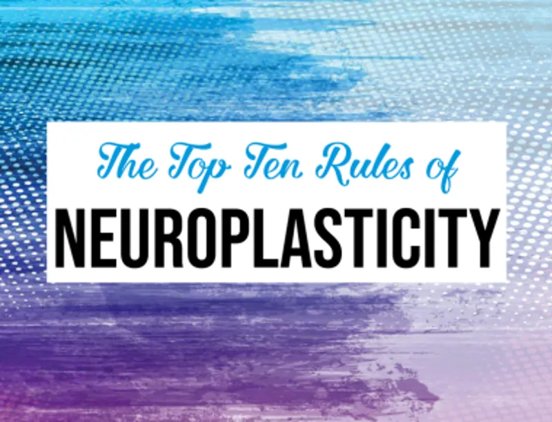 1856 20201120 043152 Neuroplasticity Blog Mobile