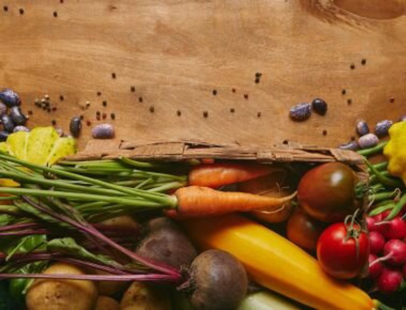 2193 20230515 035619 Rh Blog Utilizing Nutrition As Part Of Patient Care 380X290