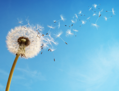 Turning Hopeless into Hopeful: Using Creative Hopelessness to Help Clients Let Go
