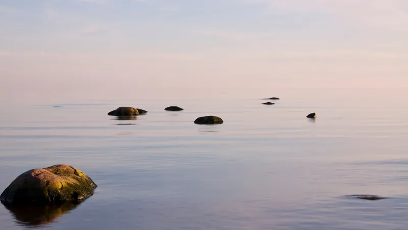 Stillness