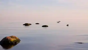 Stillness
