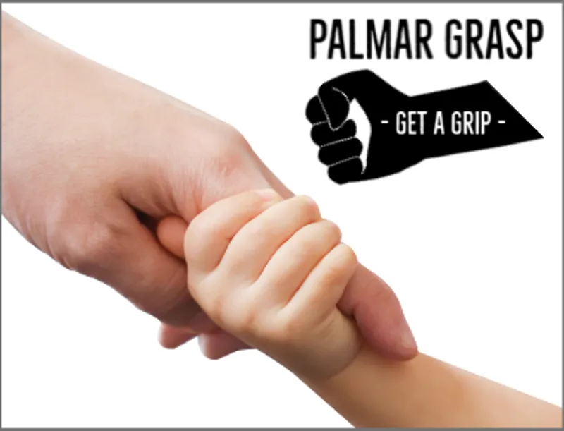 1820 20200910 045516 Blog Palmergrasp 380X290
